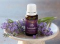 Aceite esencial de Lavanda
